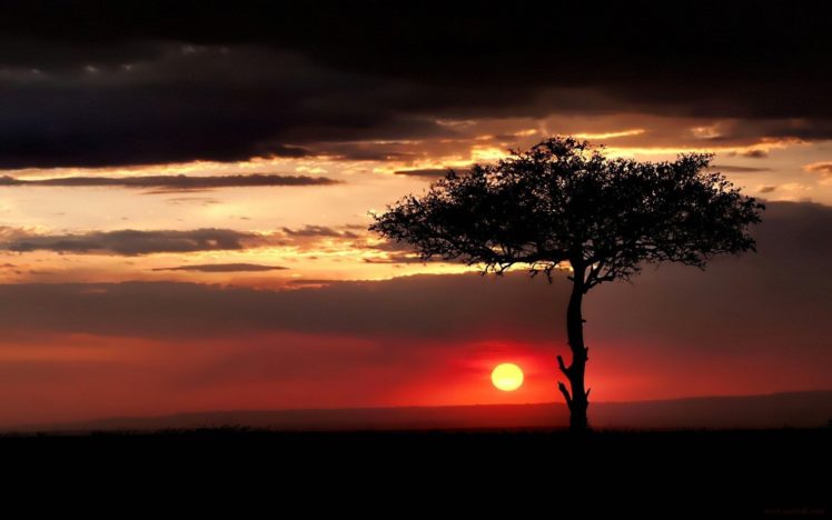 sunset, Landscapes, Nature, Sun, Trees HD Wallpaper Desktop Background
