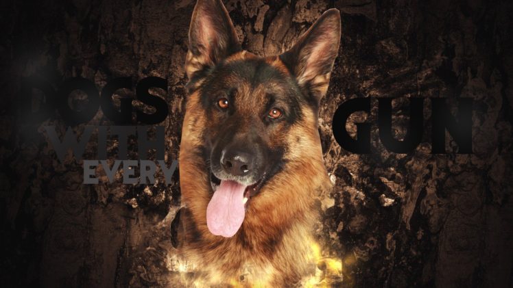 call, Of, Duty, Dogs, Shepherd, Dog HD Wallpaper Desktop Background