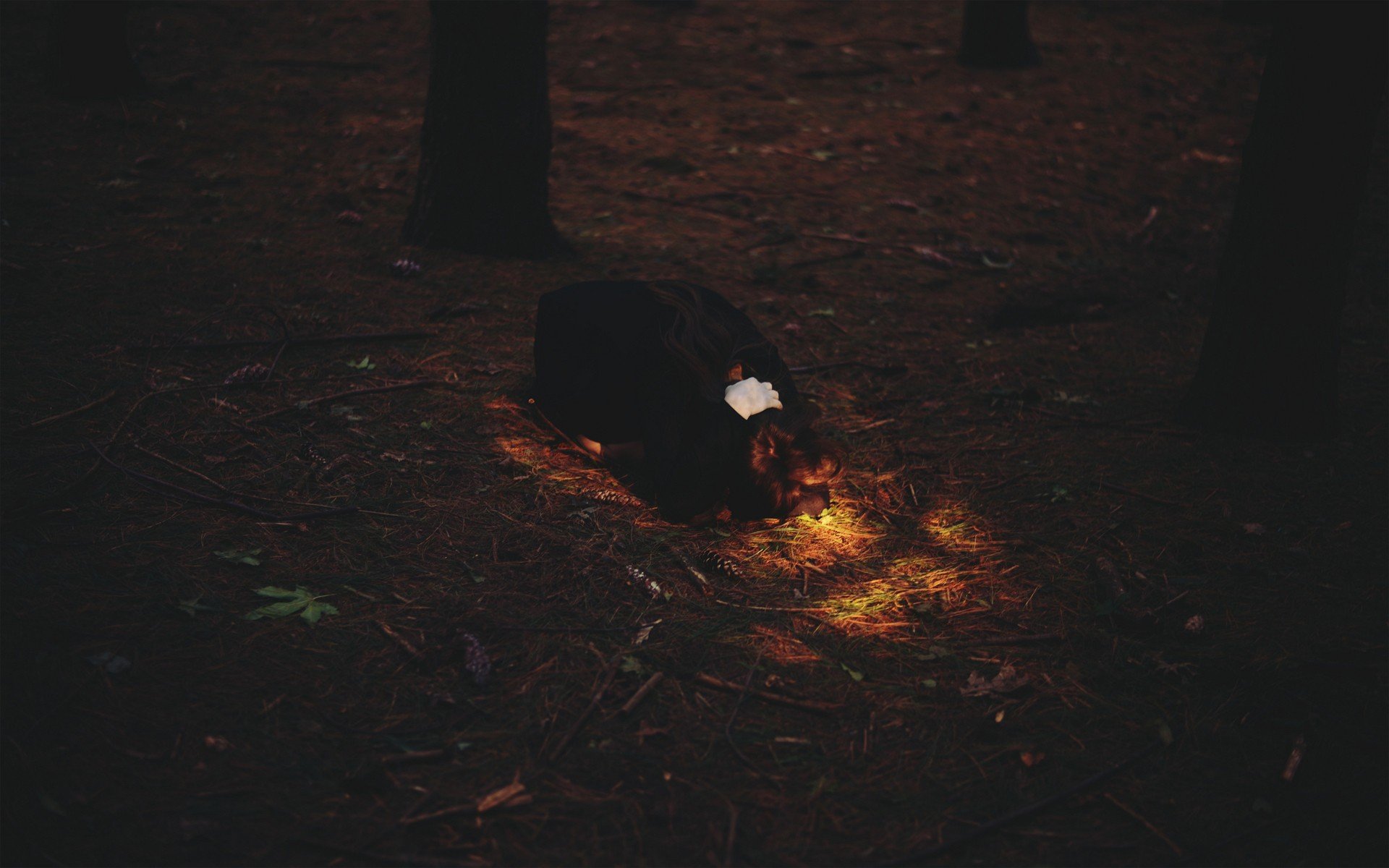 women, Lights, Forests, Leaves Wallpaper