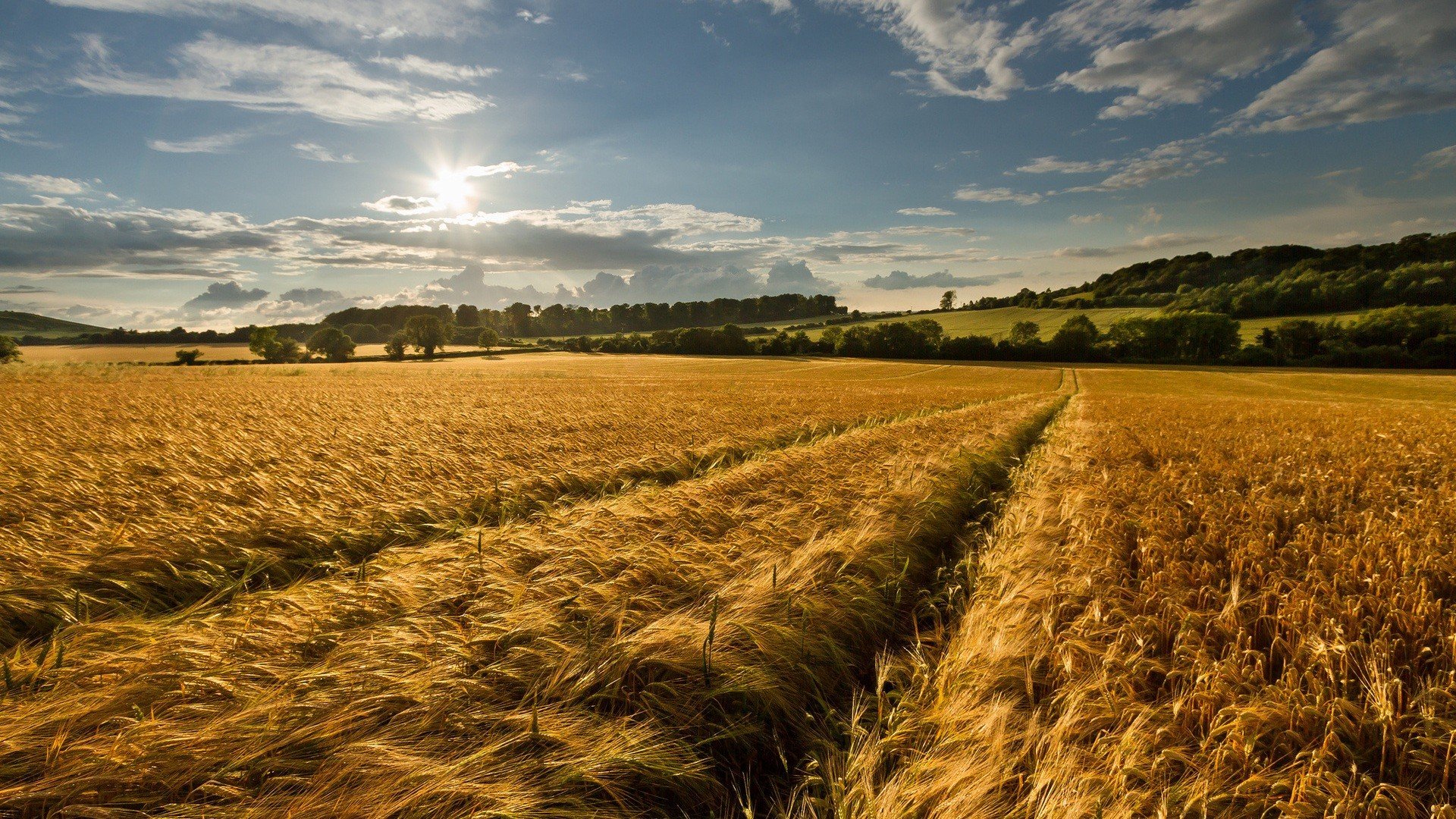 clouds, Nature, Sun, Fields, Hills, Skies Wallpaper