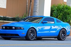 ford, Muscle, Cars, Ford, Mustang, American, Cars, Ford, Shelby, Gt500, Supersnake, Mustang, Shelby, 2013, Ford, Mustang, Gt, 5, 0, Mustang, Gt, Blue, Paint