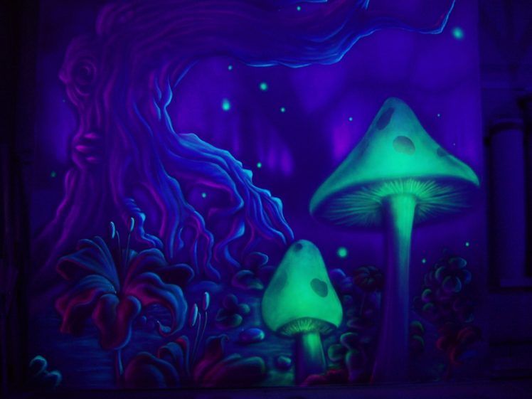 fantasy, Landscapes, Art, Mushroom HD Wallpaper Desktop Background