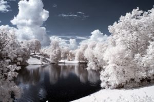 ice, Landscapes, Nature, Forests, Lakes, Rivers