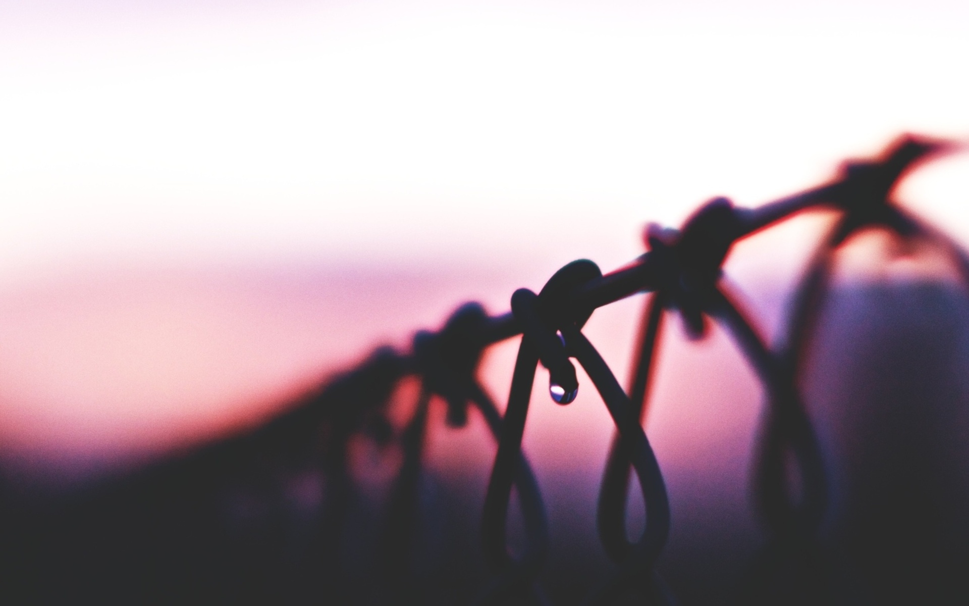 fence, Sunset, Drop, Macro Wallpaper