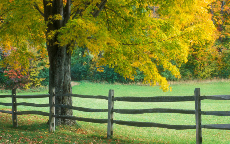 feance, Trees, Autumn, Fall HD Wallpaper Desktop Background