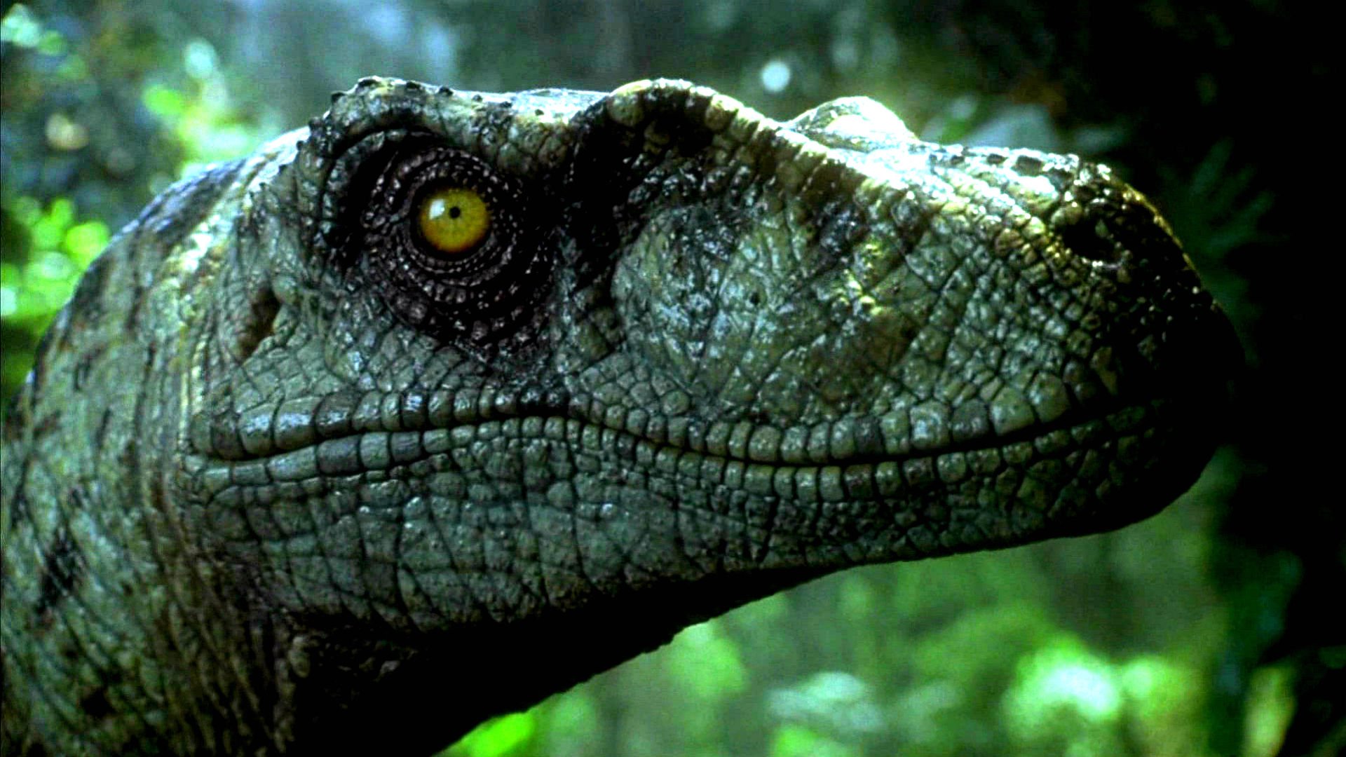 289279 Jurassic Park Adventure Sci Fi Fantasy Dinosaur Movie Film 1 