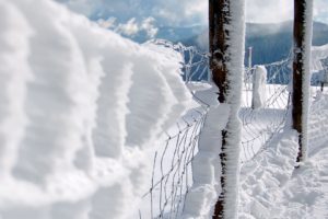 close up, Snow, Fences, Chain, Link, Fence
