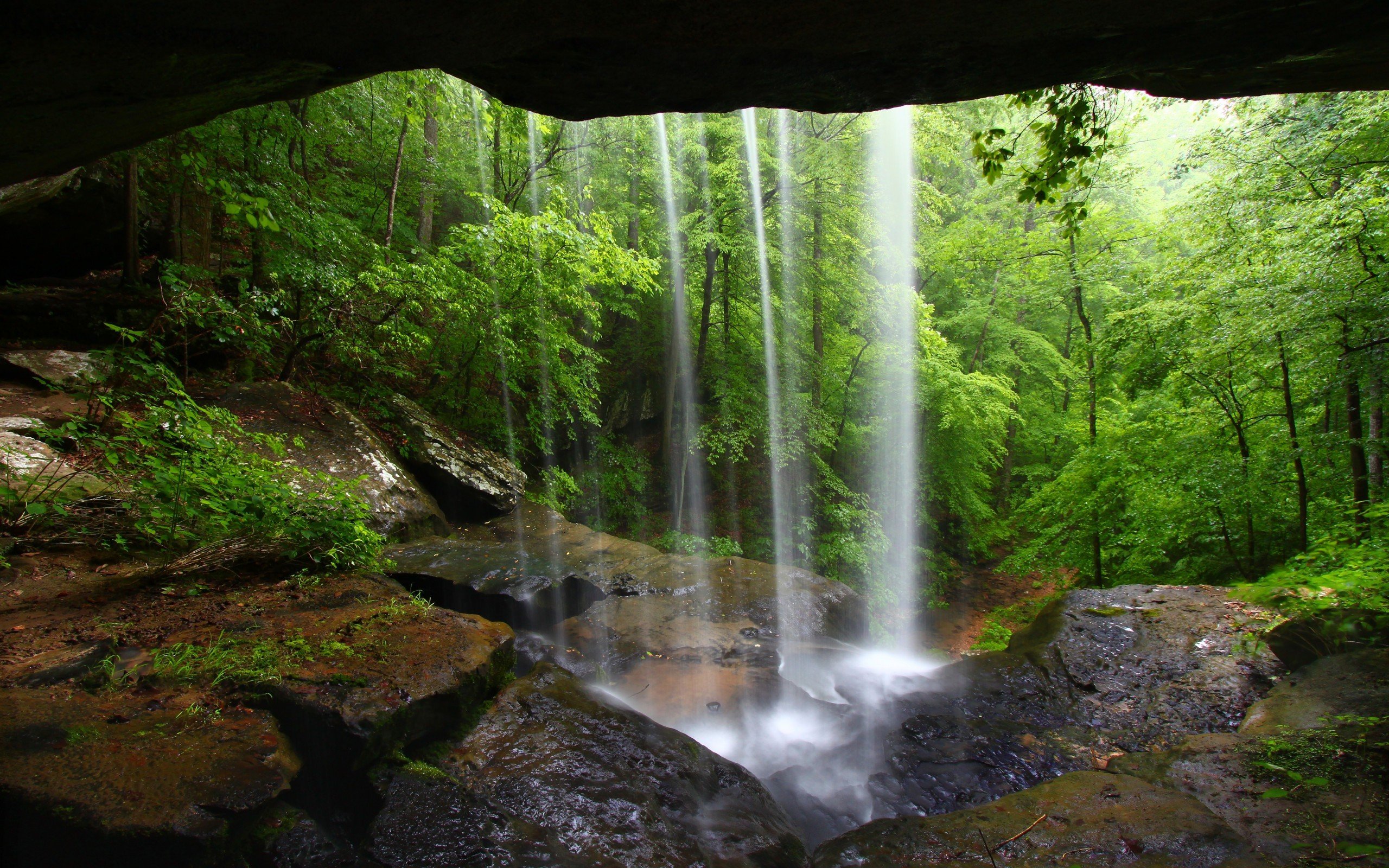 Waterfall Cave The Forest Map