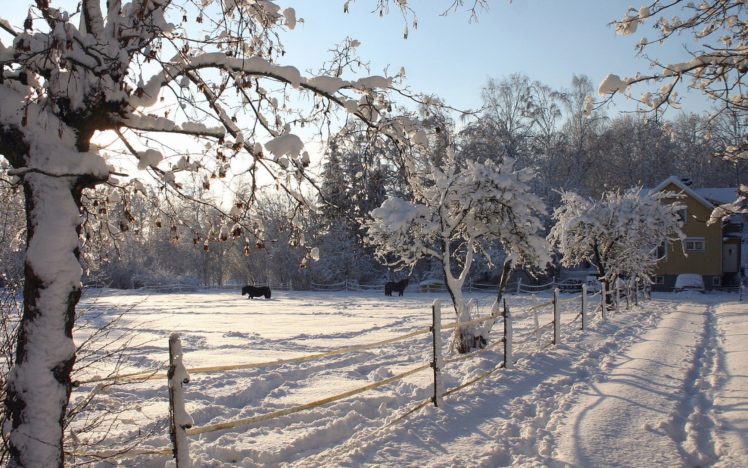 nature, Winter, Snow, Fences, Horses, Snow, Landscapes HD Wallpaper Desktop Background