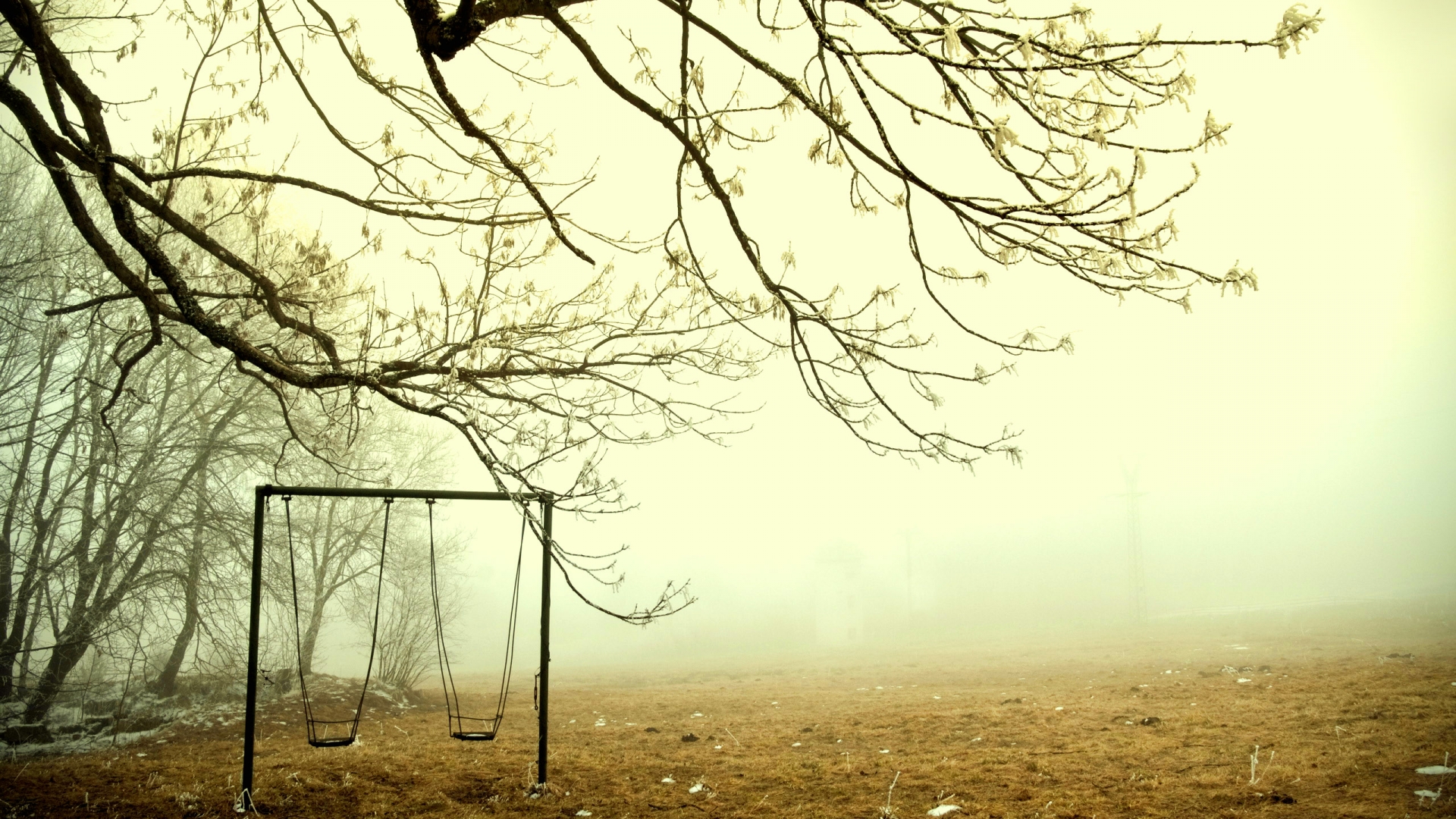 mood, Fog, Landscapes, Swing, Trees Wallpaper