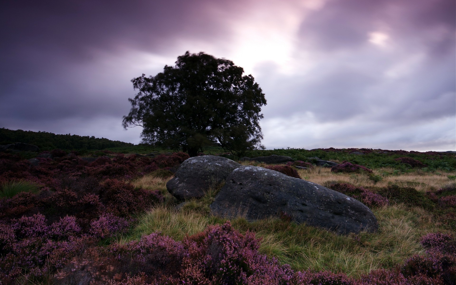 landscapes, Sky Wallpaper