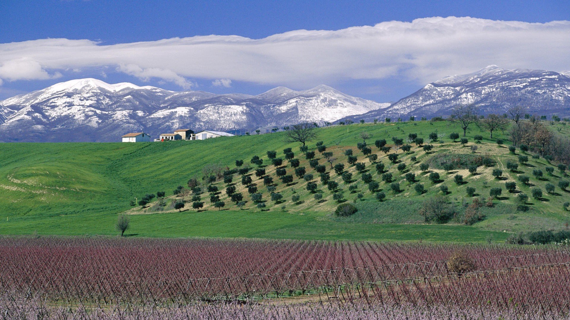 mountains, Bloom, Peaches, Italy Wallpaper