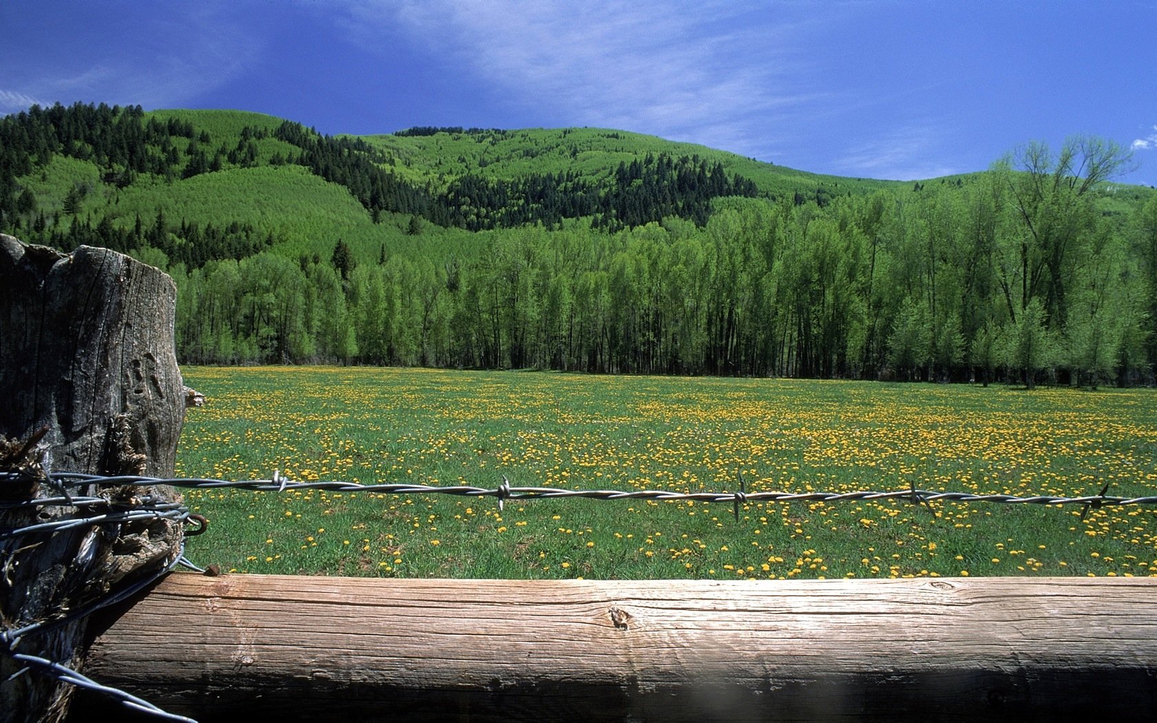 green, Landscapes, Fields Wallpaper