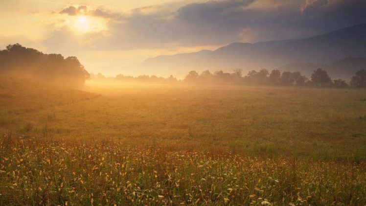 fields, Sunlight, Plains, Pices HD Wallpaper Desktop Background
