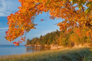 autumn, Lake, Trees, Landscape, Michigan