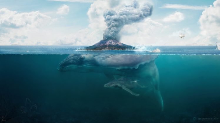 island, Hq, Wallpaper, Whale, Art, Volcano, Fantasy, Underwater, Ocean, Psychedelic HD Wallpaper Desktop Background