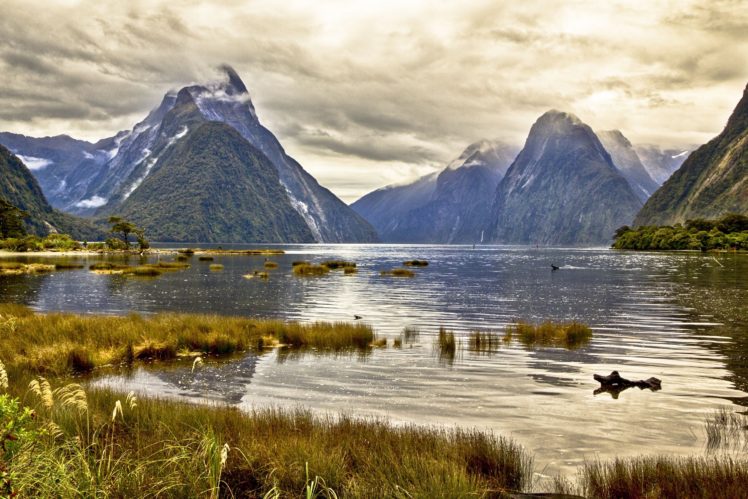 milford, Sound, New, Zealand, Pond, Mountain, Landscape HD Wallpaper Desktop Background