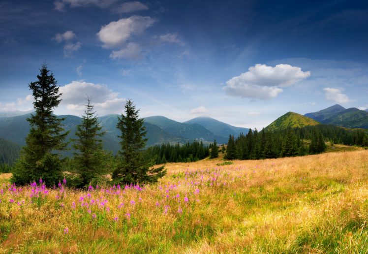 mountains, Eating, Field, Trees, Trees, Grass HD Wallpaper Desktop Background