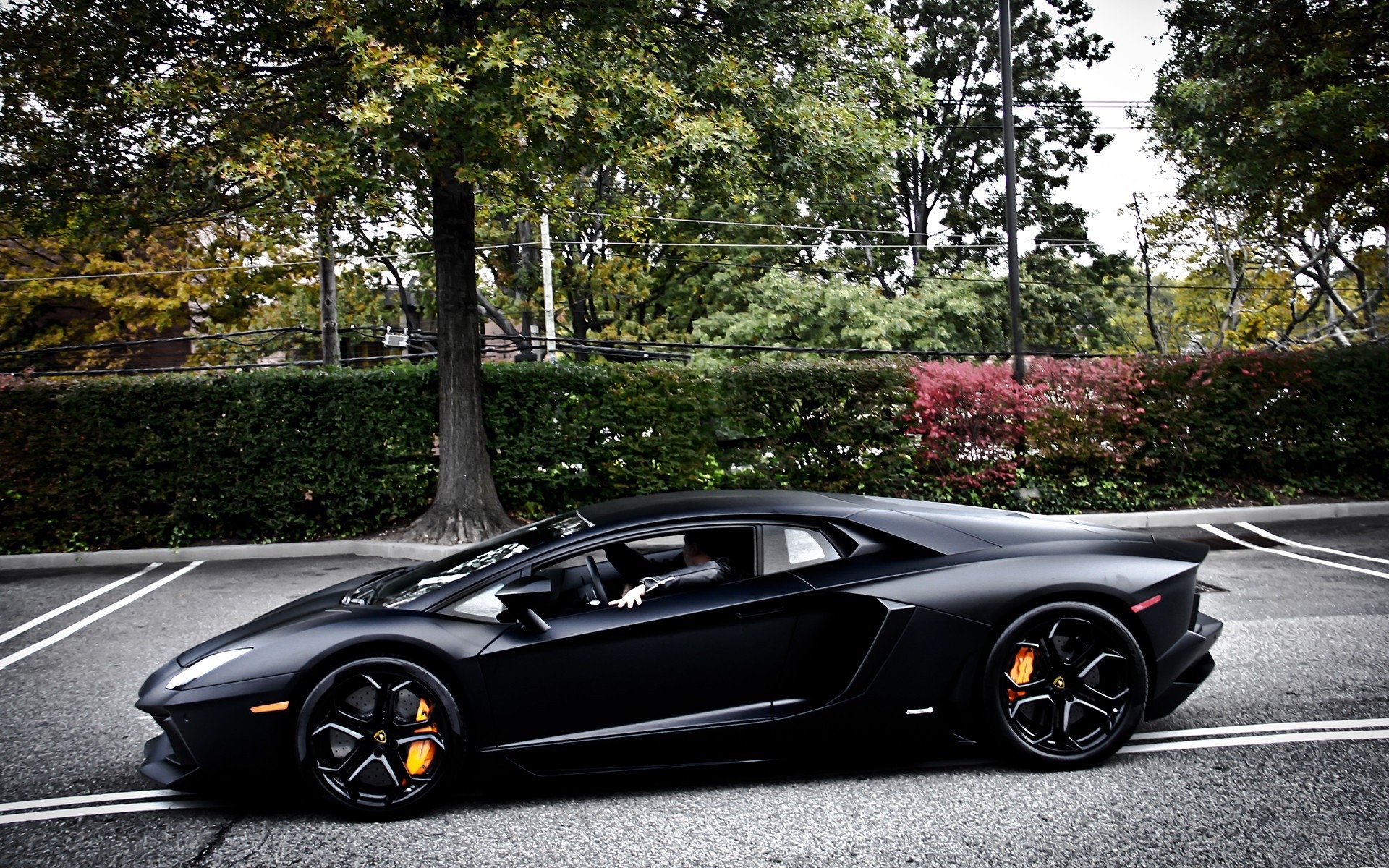 lamborghini Wallpaper