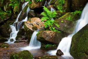 waterfall, Rocks, Plants, Nature