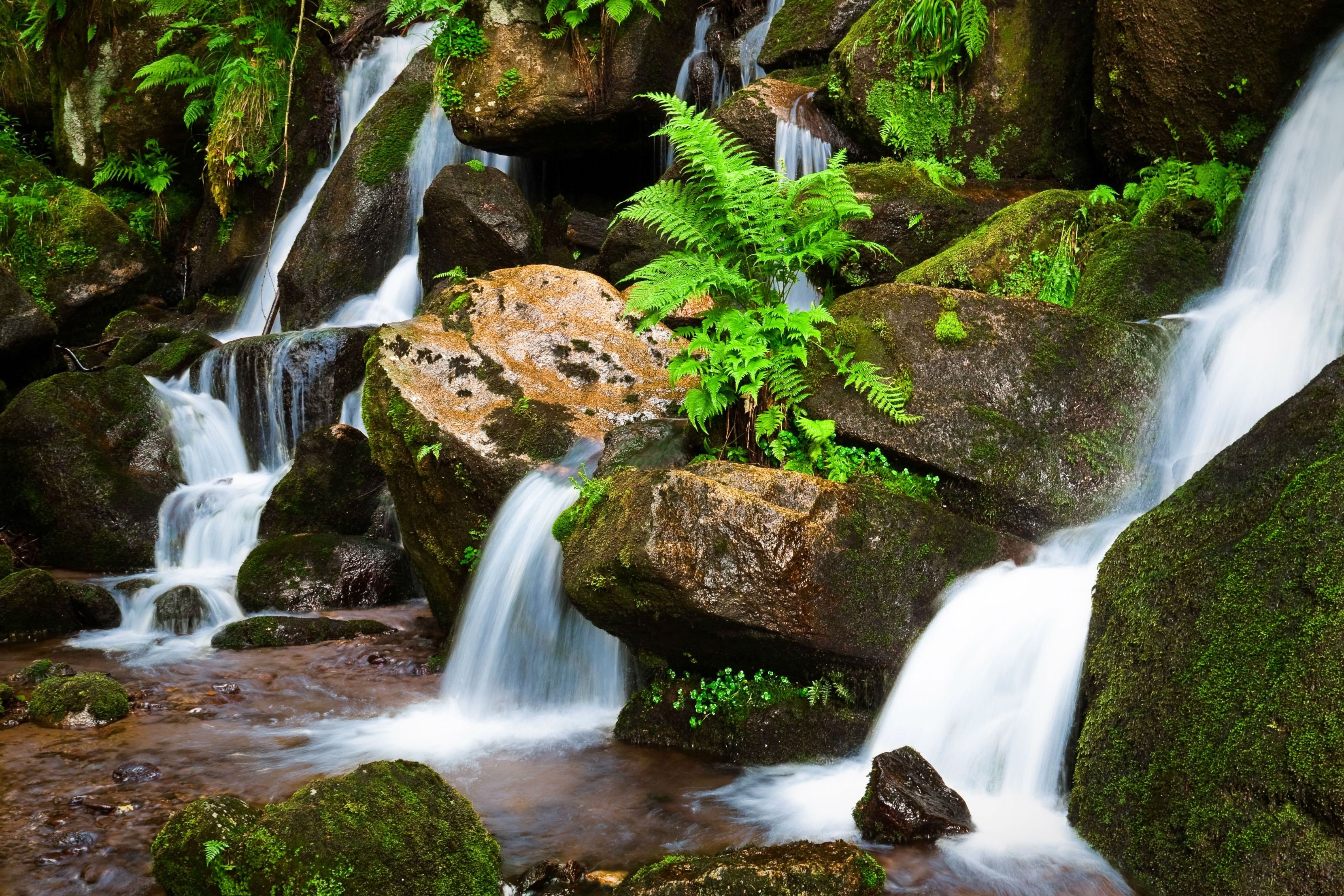 waterfall, Rocks, Plants, Nature Wallpaper