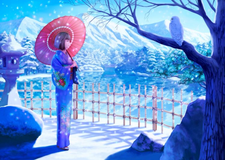 animal, Bird, Erhu, Japanese, Clothes, Kimono, Original, Owl, Short, Hair, Snow, Umbrella, Winter HD Wallpaper Desktop Background