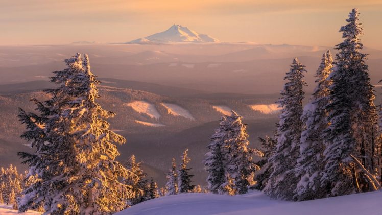 landscapes, Snow, Trees HD Wallpaper Desktop Background