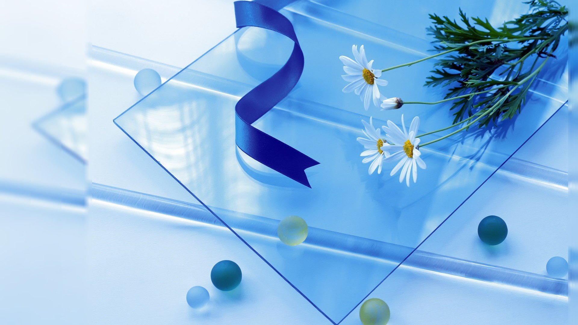 nature, Flowers, Ribbons, Daisies Wallpaper
