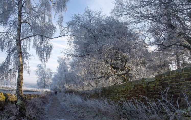 landscapes, Nature, Winter, Snow, Trees, Frost HD Wallpaper Desktop Background