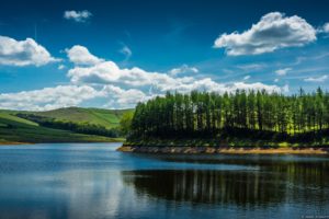 water, Landscapes, Nature, Trees, Islands, Lakes