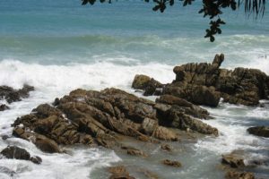 landscapes, Nature, Coast, Waves, Rocks, Stones, Branches, Sea