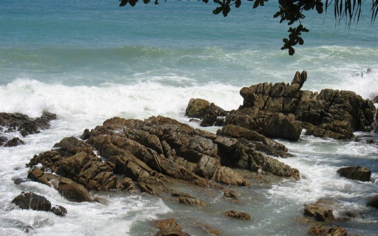 landscapes, Nature, Coast, Waves, Rocks, Stones, Branches, Sea HD Wallpaper Desktop Background