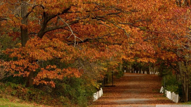 nature, Autumn, Seasons HD Wallpaper Desktop Background
