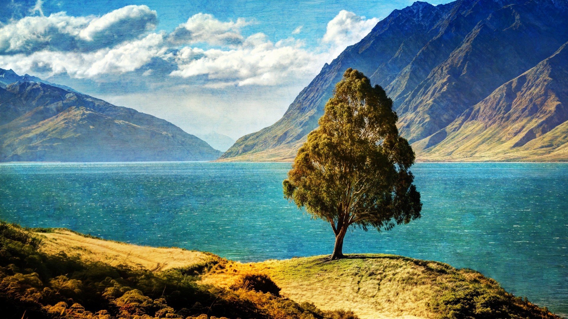 nature, Trees, Lakes Wallpaper