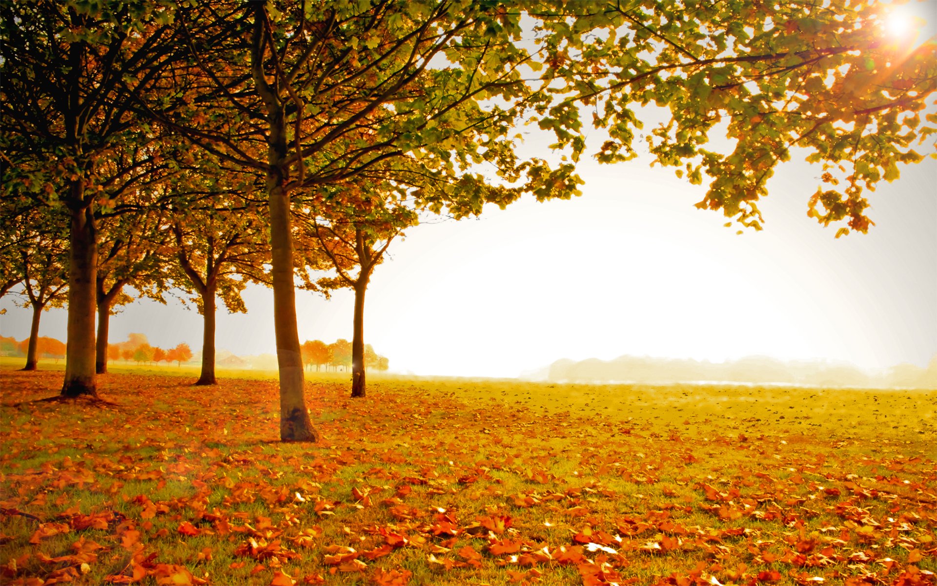 landscapes, Autumn Wallpaper