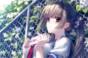 blondes, Close up, Fences, School, Uniforms, Schoolgirls, Long, Hair, Outdoors, Brown, Eyes, Blossoms, Letters, Anime, Ponytails, Anime, Girls, Hime, Cut, Bushes, Sailor, Uniforms, Hair, Ornaments, Hair, Pins, O