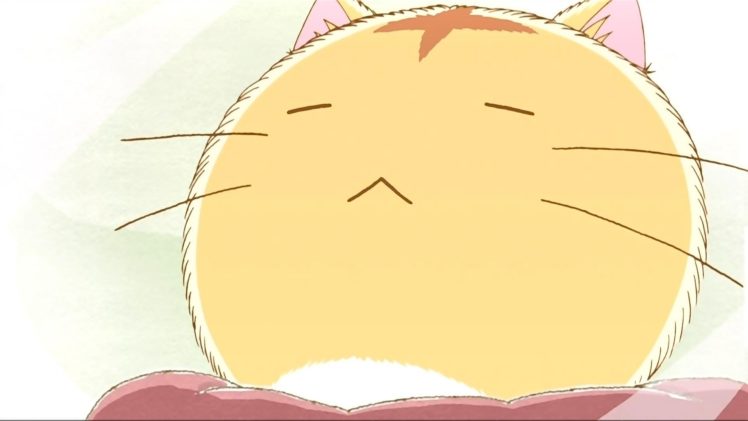 cats, Anime HD Wallpaper Desktop Background