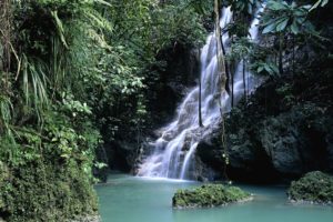 forests, Jamaica, Waterfalls