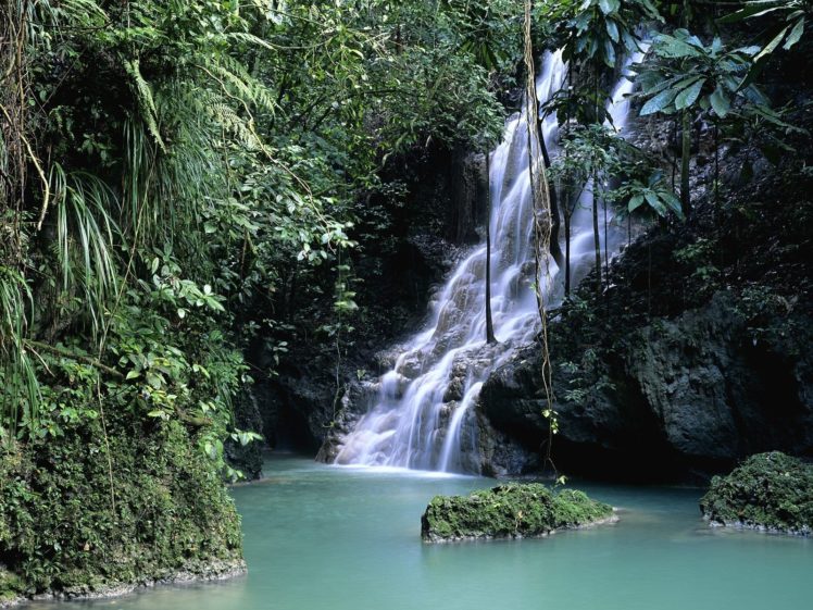 forests, Jamaica, Waterfalls HD Wallpaper Desktop Background