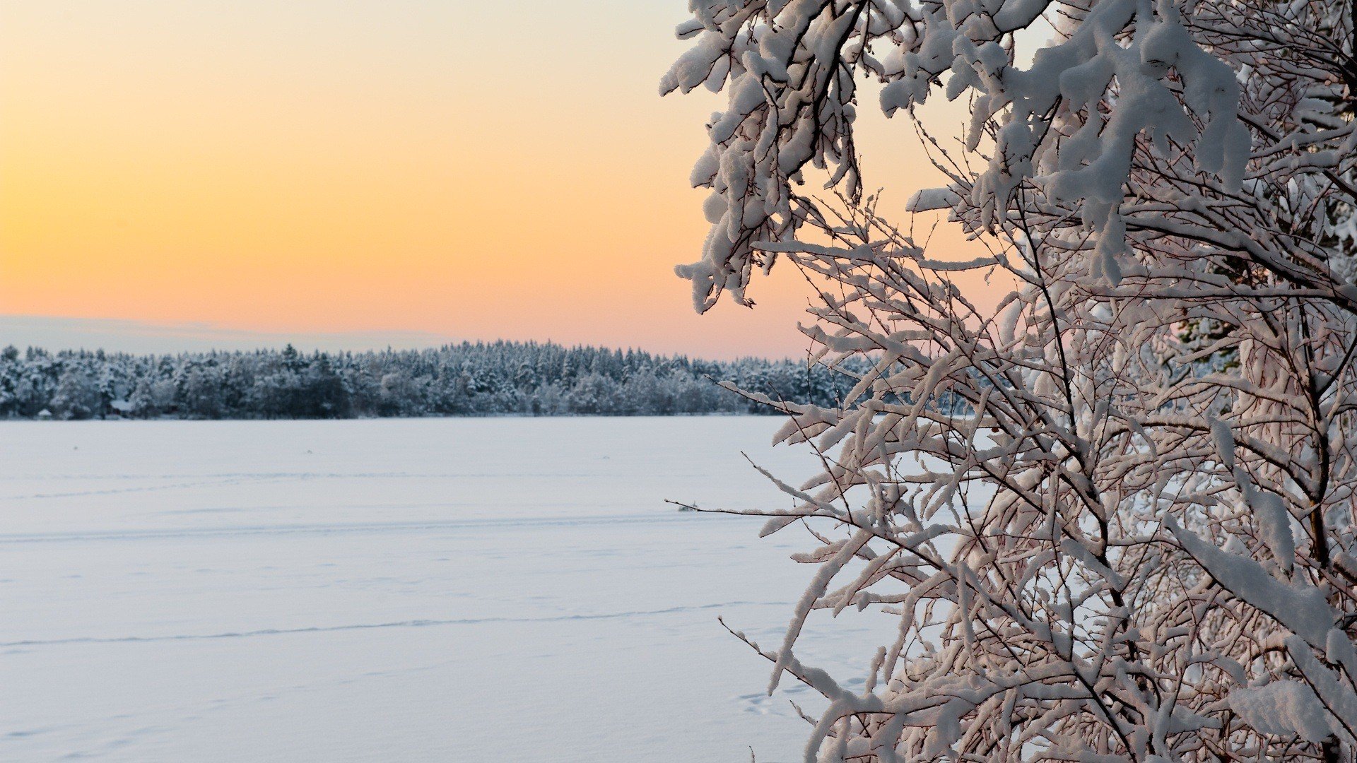 landscapes, Snow Wallpaper