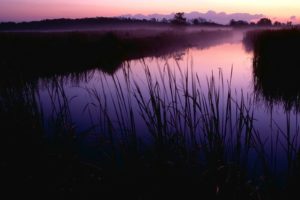 nature, Purple, Lakes