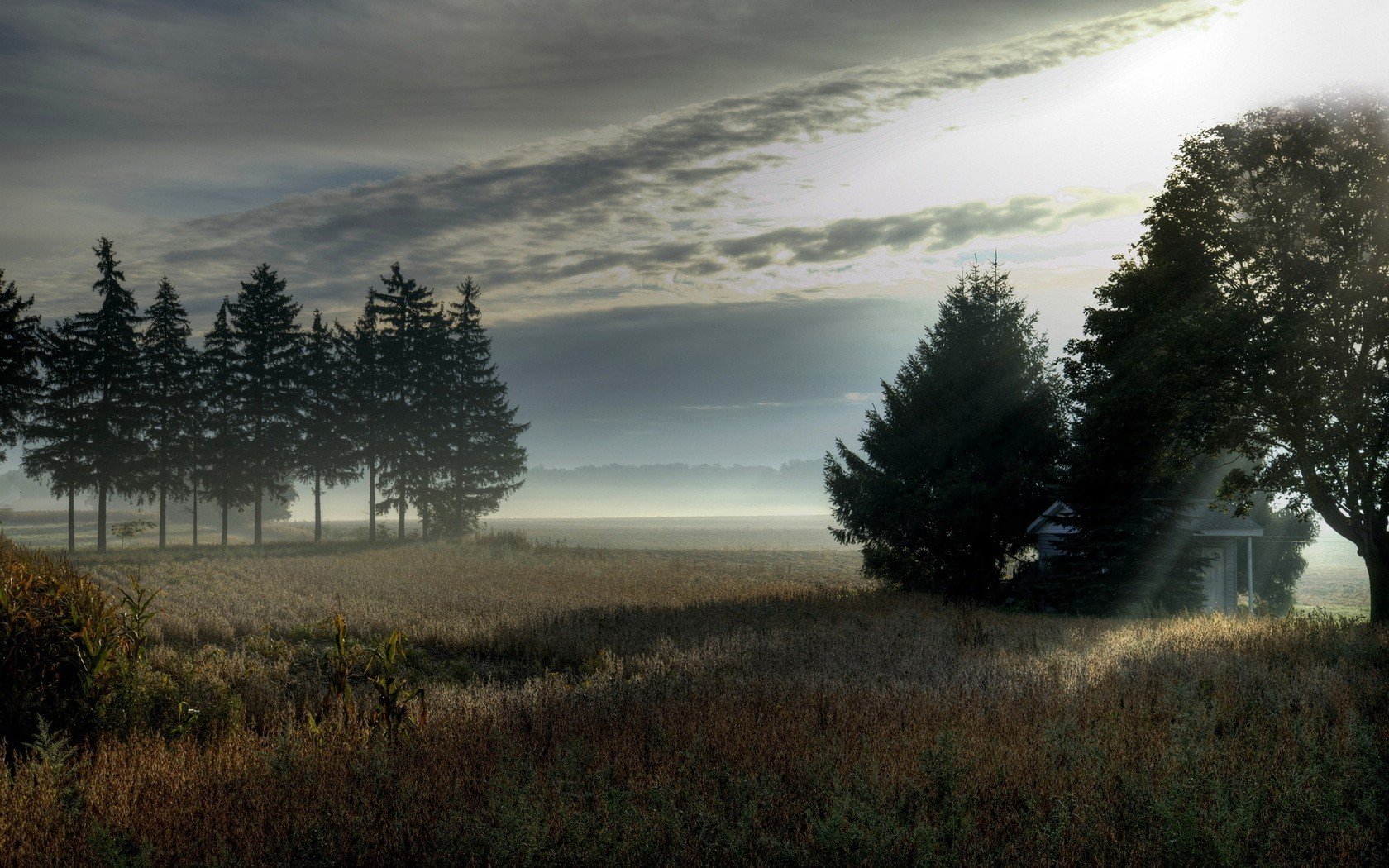 landscapes, Nature, Fields Wallpaper