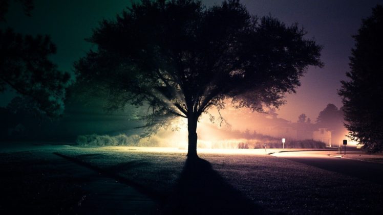 light, Landscapes, Trees, Night, Roads, Mbz HD Wallpaper Desktop Background