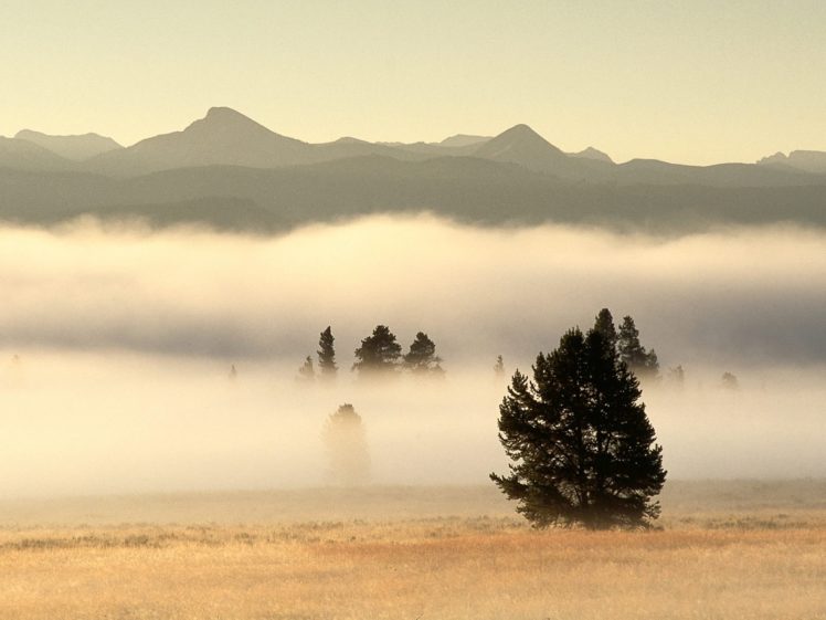 mountains, Landscapes, Nature, Trees, Mist HD Wallpaper Desktop Background