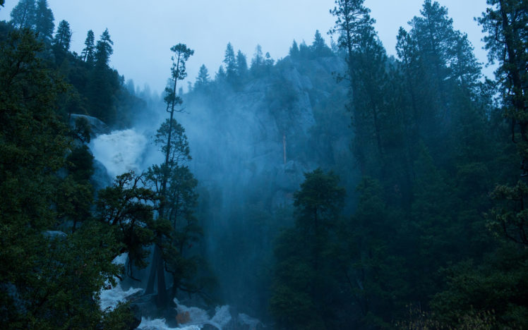 trees, Forest, Jungle, Fog, Drops, Mountains HD Wallpaper Desktop Background