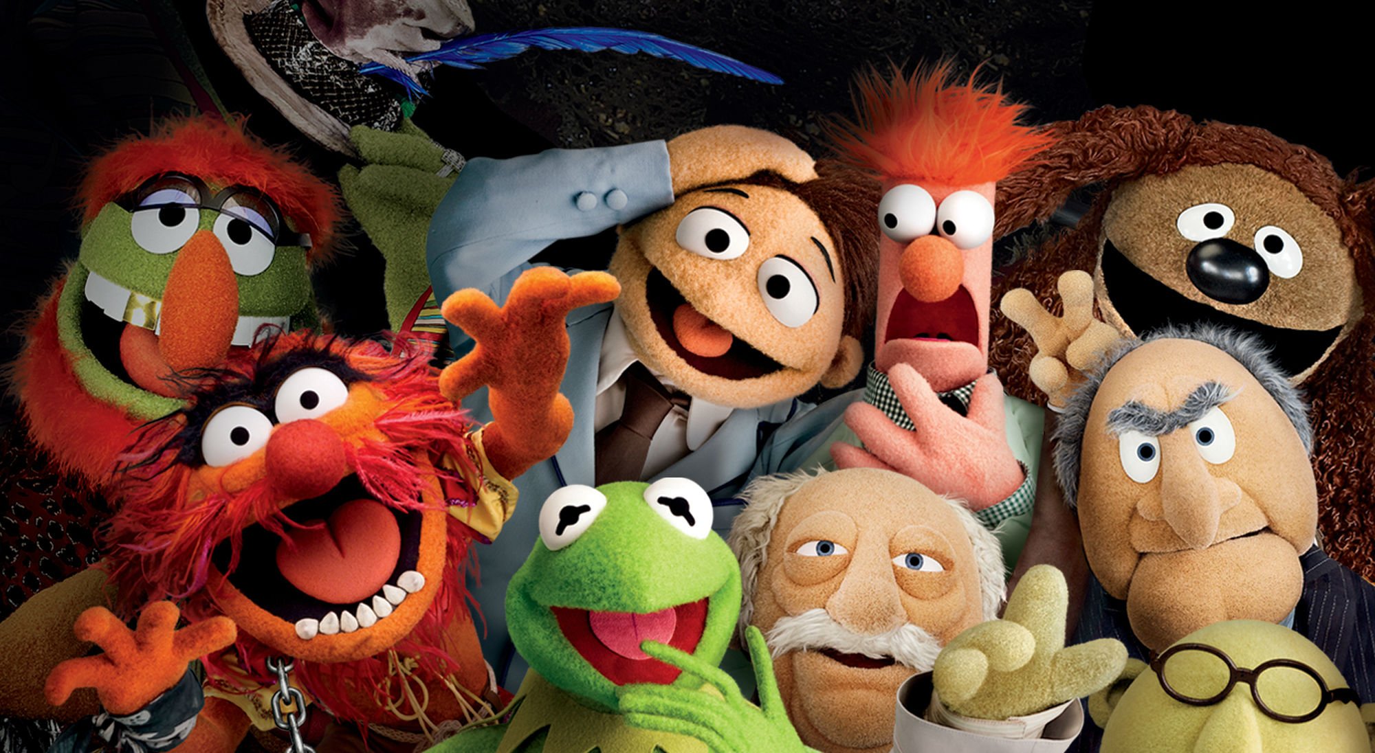 muppets, Most, Wanted, Adventure, Comedy, Crime, Puppet, Family, Disney Wallpaper