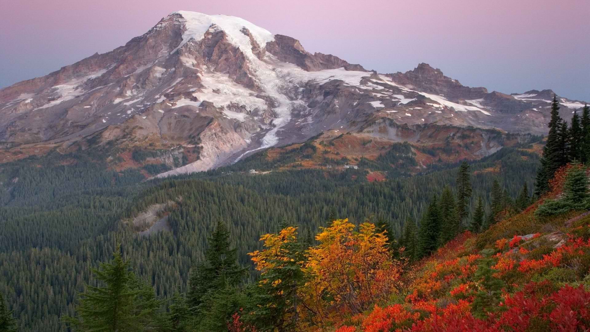 sunrise, Paradise, National, Park, Washington, Mount Wallpaper