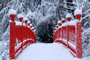 winter, Snow, Trees, Red, Bridges