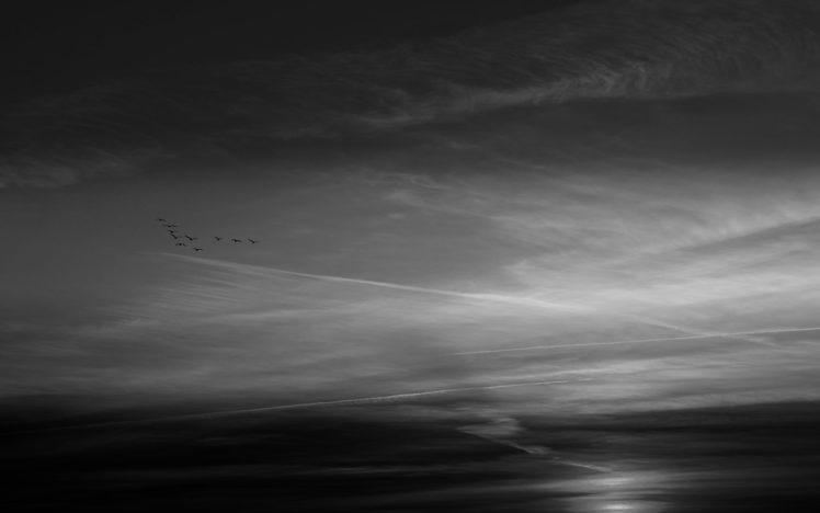 black, And, White, Geese, Skies HD Wallpaper Desktop Background