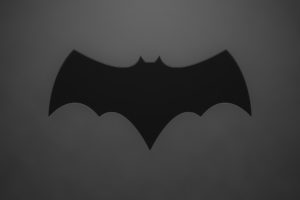 batman, Bat